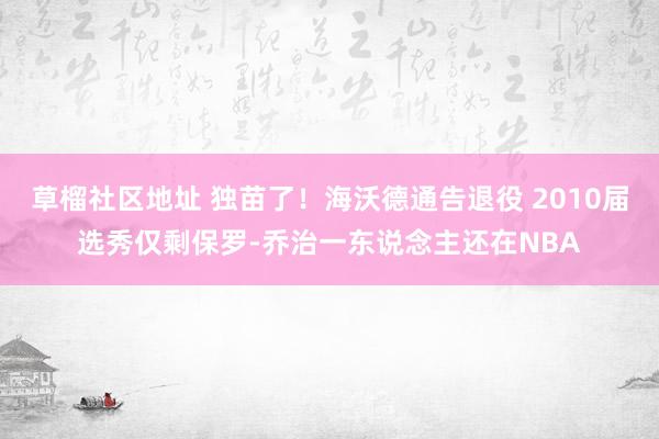 草榴社区地址 独苗了！海沃德通告退役 2010届选秀仅剩保罗-乔治一东说念主还在NBA