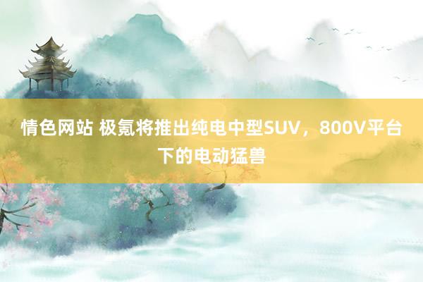 情色网站 极氪将推出纯电中型SUV，800V平台下的电动猛兽