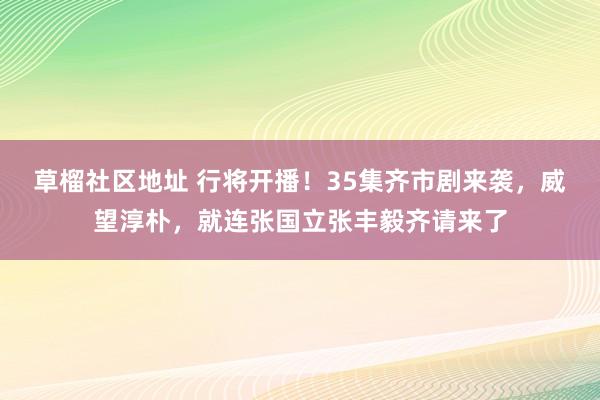 草榴社区地址 行将开播！35集齐市剧来袭，威望淳朴，就连张国立张丰毅齐请来了