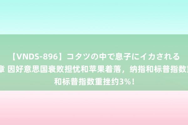 【VNDS-896】コタツの中で息子にイカされる義母 第二章 因好意思国衰败担忧和苹果着落，纳指和标普指数重挫约3%！