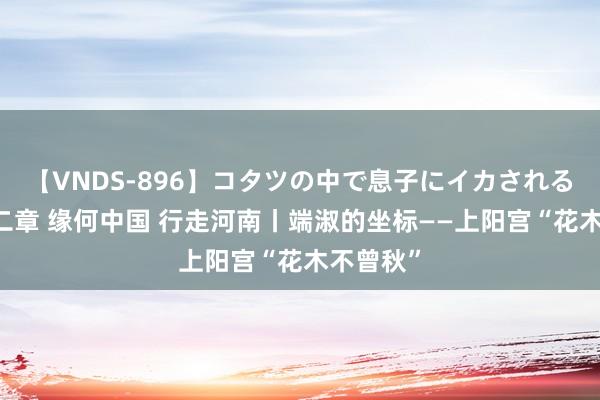 【VNDS-896】コタツの中で息子にイカされる義母 第二章 缘何中国 行走河南丨端淑的坐标——上阳宫“花木不曾秋”