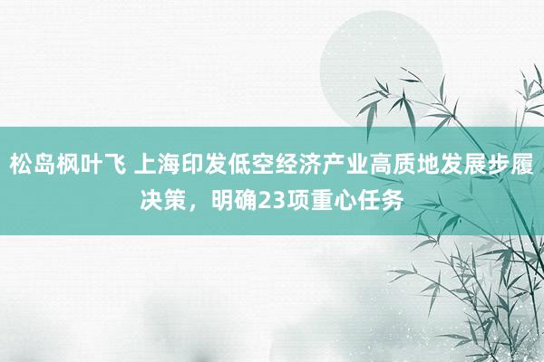 松岛枫叶飞 上海印发低空经济产业高质地发展步履决策，明确23项重心任务