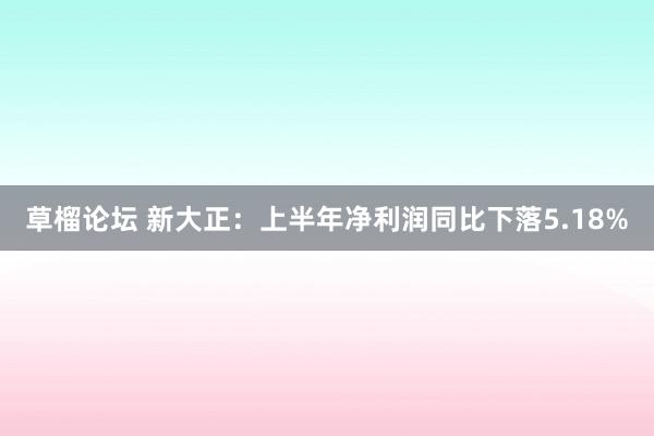 草榴论坛 新大正：上半年净利润同比下落5.18%