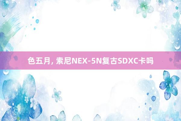 色五月， 索尼NEX-5N复古SDXC卡吗