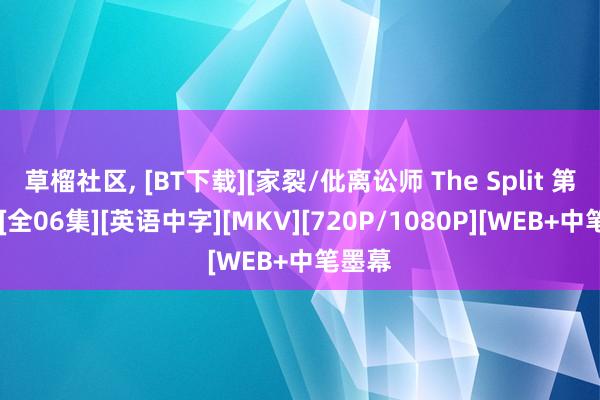 草榴社区， [BT下载][家裂/仳离讼师 The Split 第二季][全06集][英语中字][MKV][720P/1080P][WEB+中笔墨幕