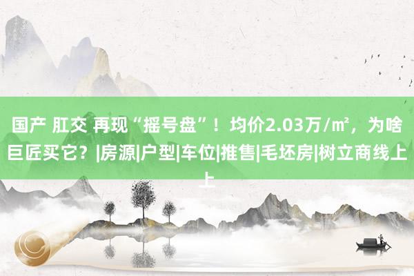 国产 肛交 再现“摇号盘”！均价2.03万/㎡，为啥巨匠买它？|房源|户型|车位|推售|毛坯房|树立商线上