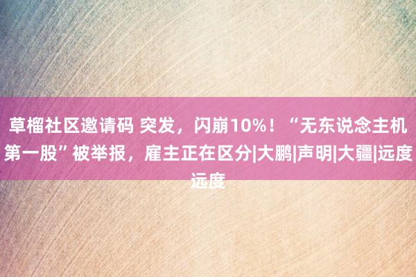 草榴社区邀请码 突发，闪崩10%！“无东说念主机第一股”被举报，雇主正在区分|大鹏|声明|大疆|远度