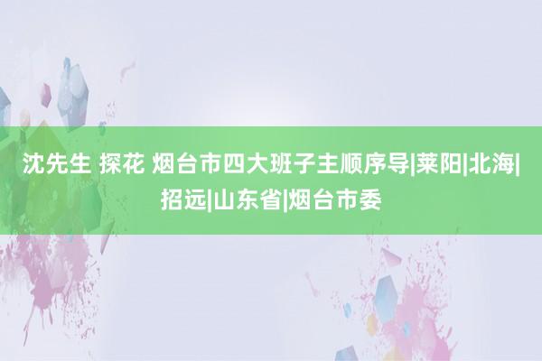 沈先生 探花 烟台市四大班子主顺序导|莱阳|北海|招远|山东省|烟台市委