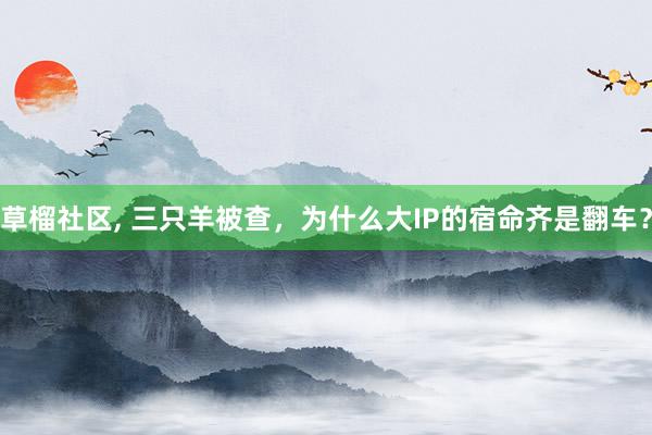 草榴社区， 三只羊被查，为什么大IP的宿命齐是翻车？