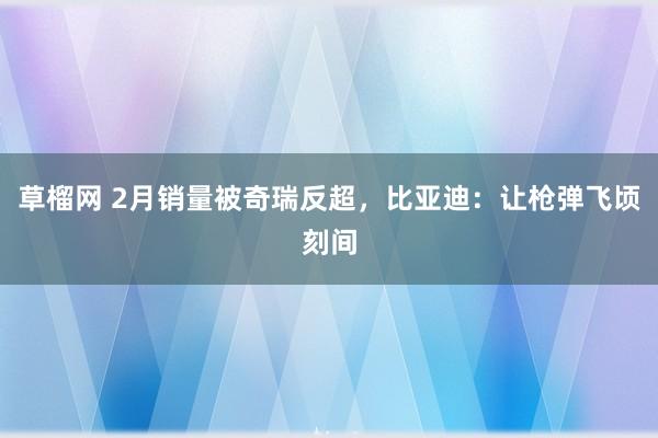 草榴网 2月销量被奇瑞反超，比亚迪：让枪弹飞顷刻间