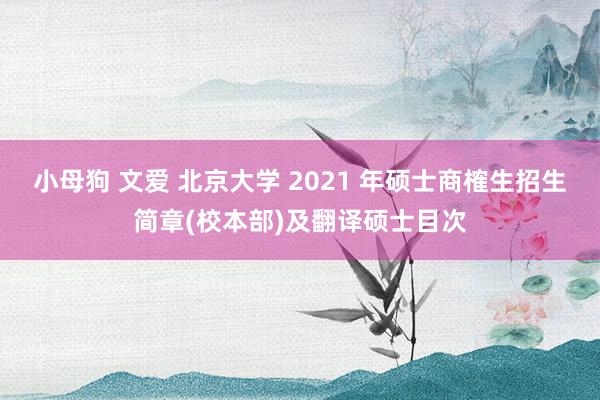 小母狗 文爱 北京大学 2021 年硕士商榷生招生简章(校本部)及翻译硕士目次