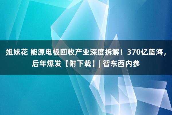 姐妹花 能源电板回收产业深度拆解！370亿蓝海，后年爆发【附下载】| 智东西内参